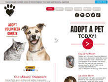 Tablet Screenshot of animalaid.org